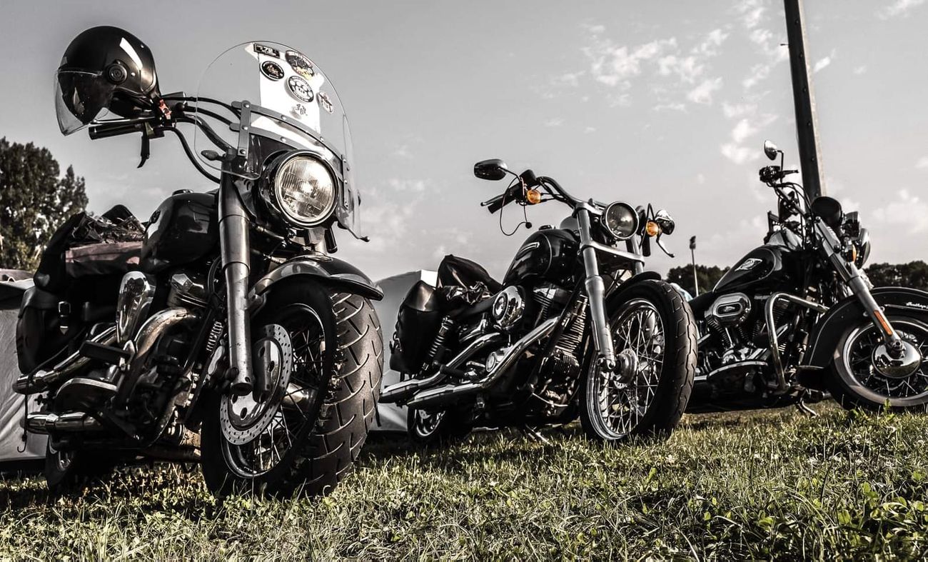 Trois motos garées dans l'herbe, en noir et blanc